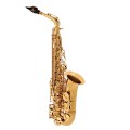 Trevor James SR Alto Saxophone, Gold Lacquer