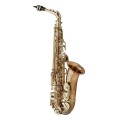 Yanagisawa AWO2U Alto Saxophone, Bronze Body, Unlacquered